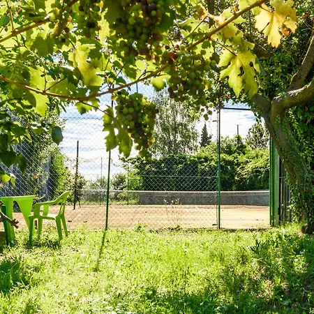 La Casa Di Baba Panzió Masserano
